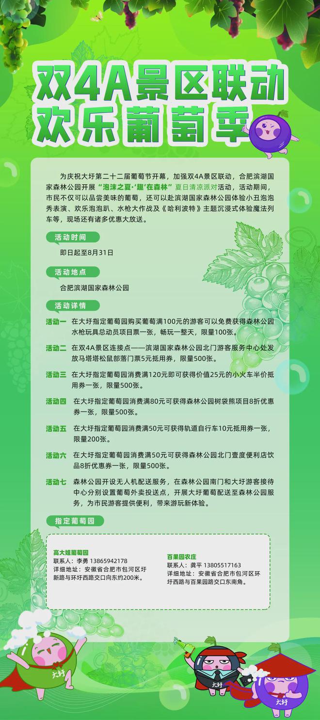新澳门天天免费精准,精选解析、解释与落实